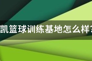 沈阳威肯篮球训练营怎么样